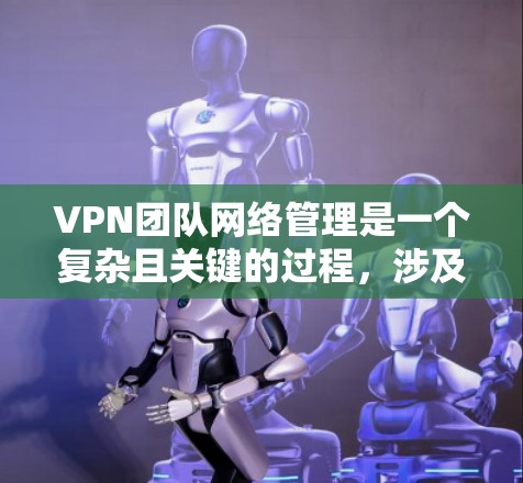 VPN团队网络管理是一个复杂且关键的过程，涉及多个角色和策略的协调与执行。以下是 VPN 队团网络管理的详细步骤