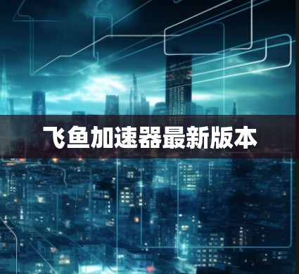 飞鱼加速器最新版本