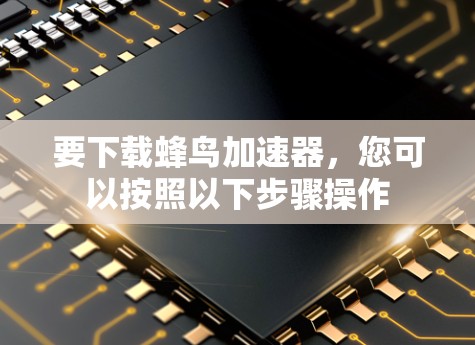 要下载蜂鸟加速器,您可以按照以下步骤操作
