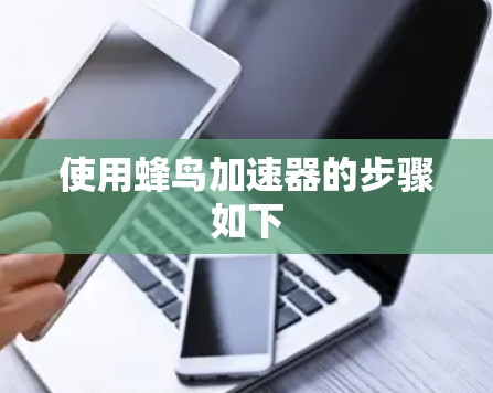 使用蜂鸟加速器的步骤如下