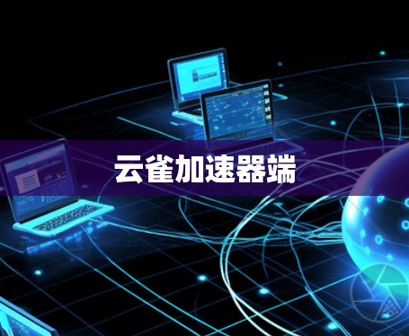 云雀加速器端