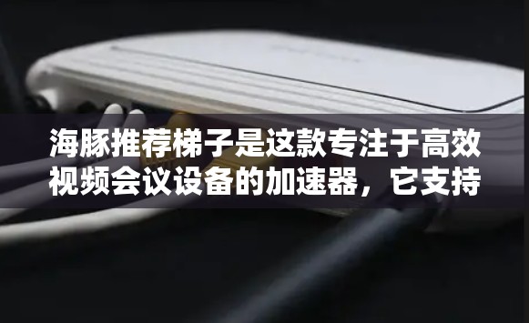 海豚推荐梯子是这款专注于高效视频会议设备的加速器,它支持多种会议类型,包括视频会议、网络会议、直播等。以下是一些推荐的海豚加速器梯子及其主要功能,供你选择