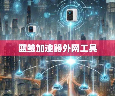 蓝鲸加速器外网工具 蓝鲸加速器外网工具