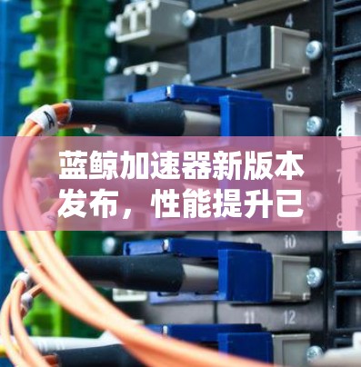 蓝鲸加速器新版本发布,性能提升已见成效