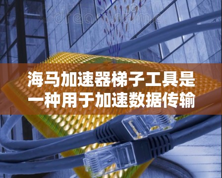 海马加速器梯子工具是一种用于加速数据传输的设备,通常由多个部分组成,包括加速器、连接器、电源、数据线和梯子部分。以下是关于该设备的详细信息