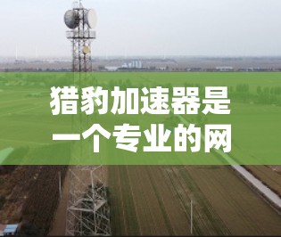 猎豹加速器是一个专业的网络加速工具,旨在提升在线体验。以下是对猎豹加速器的详细步骤和使用指南