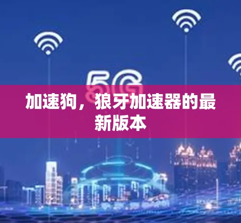 加速狗,狼牙加速器的最新版本