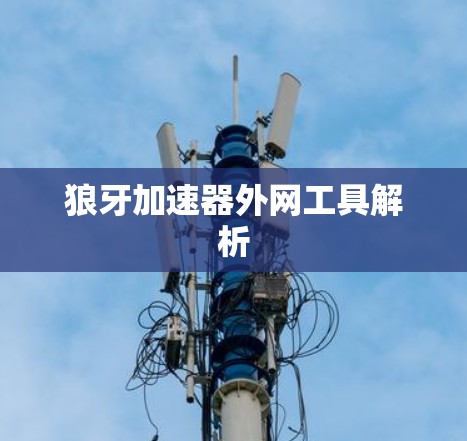 狼牙加速器外网工具解析