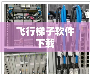 飞行梯子软件下载