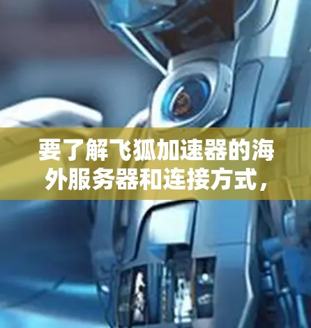 要了解飞狐加速器的海外服务器和连接方式，可以按照以下步骤进行