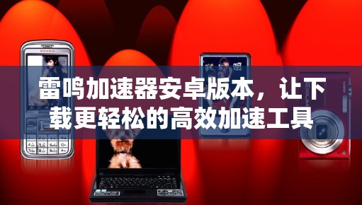 雷鸣加速器安卓版本,让下载更轻松的高效加速工具 雷鸣加速器安卓版本,让下载更轻松的高效加速工具