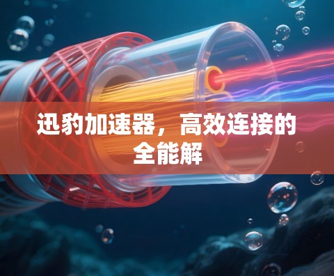 迅豹加速器,高效连接的全能解