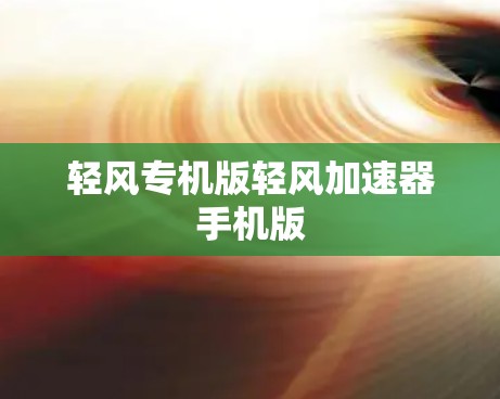 轻风专机版轻风加速器手机版