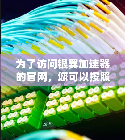 为了访问银翼加速器的官网，您可以按照以下步骤进行