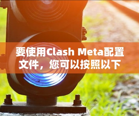 要使用Clash Meta配置文件，您可以按照以下步骤操作