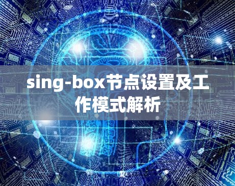 sing-box节点设置及工作模式解析