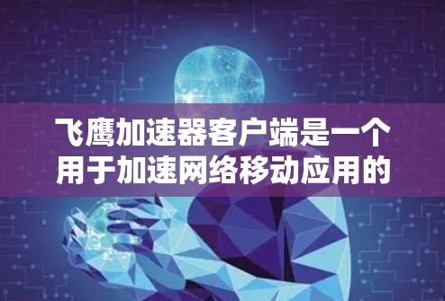飞鹰加速器客户端是一个用于加速网络移动应用的工具。以下是使用飞鹰加速器客户端的详细步骤