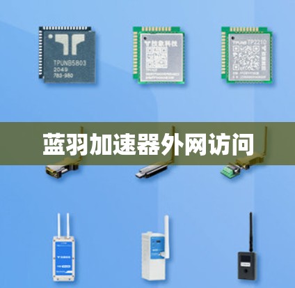 蓝羽加速器外网访问