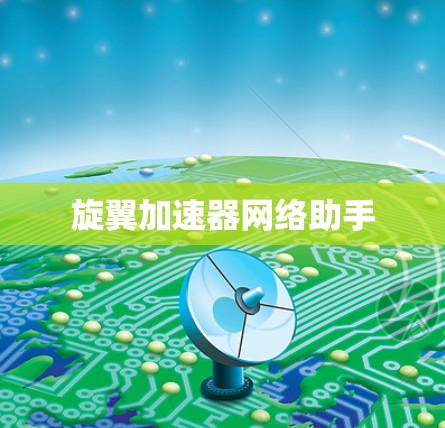 旋翼加速器网络助手