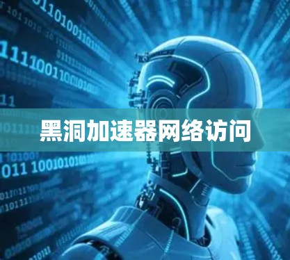 黑洞加速器网络访问