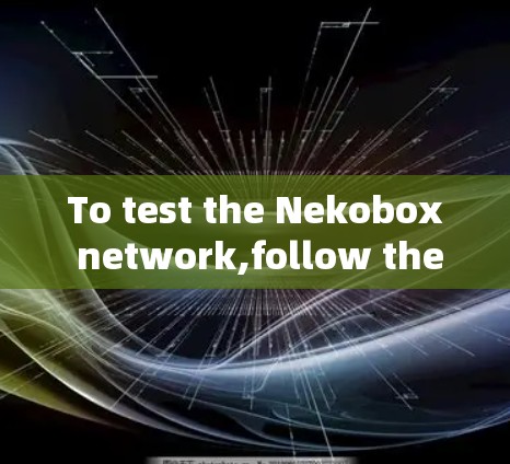 To test the Nekobox network,follow these organized steps: