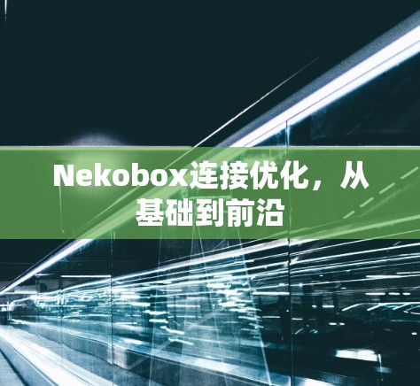 Nekobox连接优化，从基础到前沿