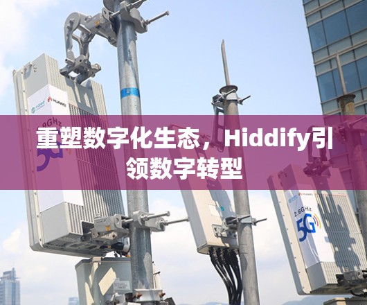 重塑数字化生态,Hiddify引领数字转型