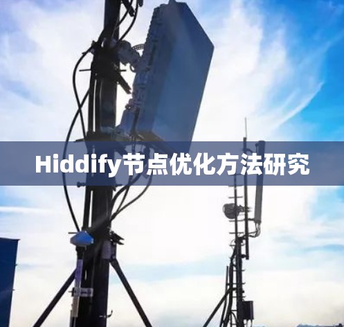 Hiddify节点优化方法研究