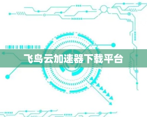 飞鸟云加速器下载平台