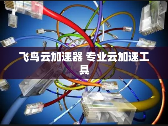 飞鸟云加速器 专业云加速工具 飞鸟云加速器 专业云加速工具