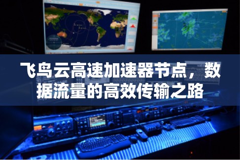 飞鸟云高速加速器节点,数据流量的高效传输之路 飞鸟云高速加速器节点,数据流量的高效传输之路