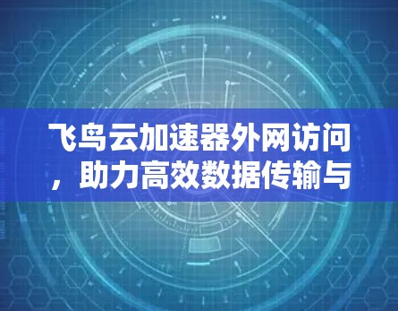 飞鸟云加速器外网访问,助力高效数据传输与网络优化 飞鸟云加速器外网访问,助力高效数据传输与网络优化