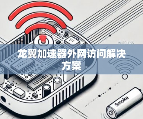 龙翼加速器外网访问解决方案
