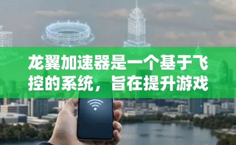 龙翼加速器是一个基于飞控的系统，旨在提升游戏中的移动速度。以下是对其稳定体验的详细分析