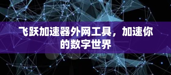 飞跃加速器外网工具，加速你的数字世界