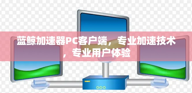 蓝鲸加速器PC客户端,专业加速技术,专业用户体验 蓝鲸加速器PC客户端,专业加速技术,专业用户体验