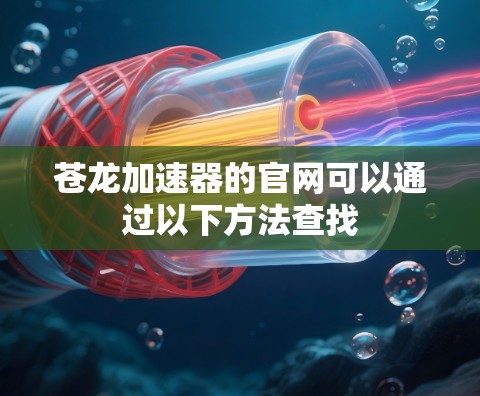 苍龙加速器的官网可以通过以下方法查找