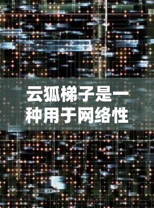 云狐梯子是一种用于网络性能测试的设备,通常由网络接口、路由器、交换机和防火墙等部分组成。以下是一步步的指南,帮助你使用云狐梯子进行网络性能测试