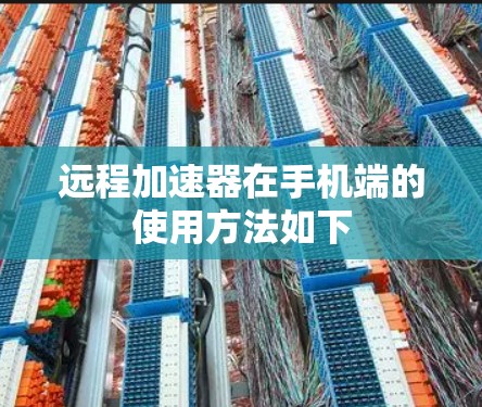 远程加速器在手机端的使用方法如下