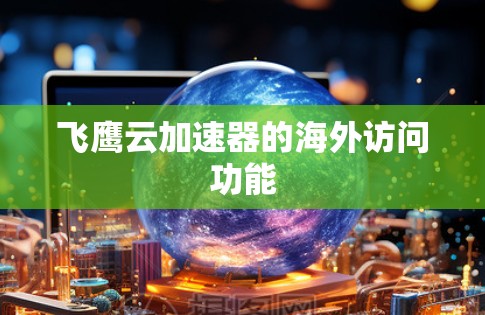 飞鹰云加速器的海外访问功能
