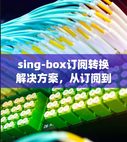 sing-box订阅转换解决方案,从订阅到广告的高效转化策略