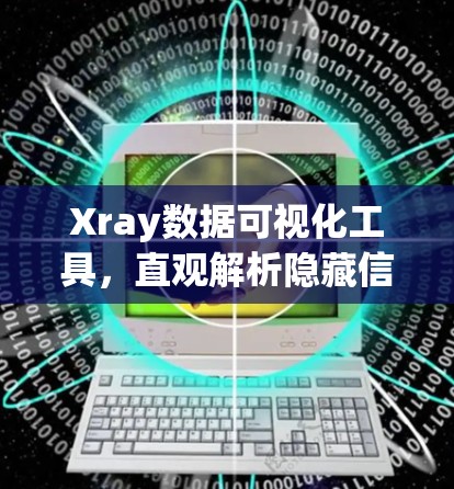 Xray数据可视化工具，直观解析隐藏信息