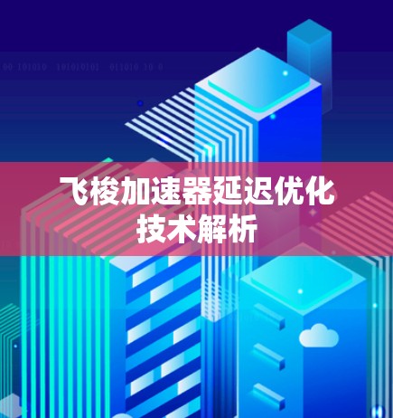 飞梭加速器延迟优化技术解析 飞梭加速器延迟优化技术解析