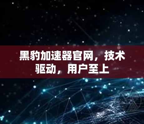 黑豹加速器官网，技术驱动，用户至上