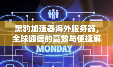 黑豹加速器海外服务器,全球通信的高效与便捷解决方案 黑豹加速器海外服务器,全球通信的高效与便捷解决方案