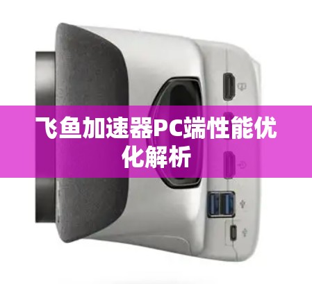 飞鱼加速器PC端性能优化解析 飞鱼加速器PC端性能优化解析