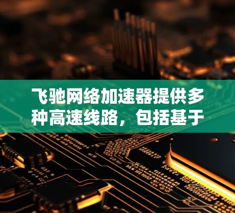 飞驰网络加速器提供多种高速线路，包括基于华为5G快线和飞驰内部原厂线路的高速连接。以下是具体的使用方法