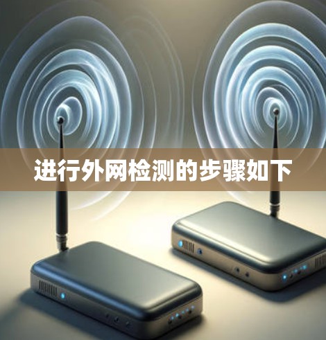 进行外网检测的步骤如下