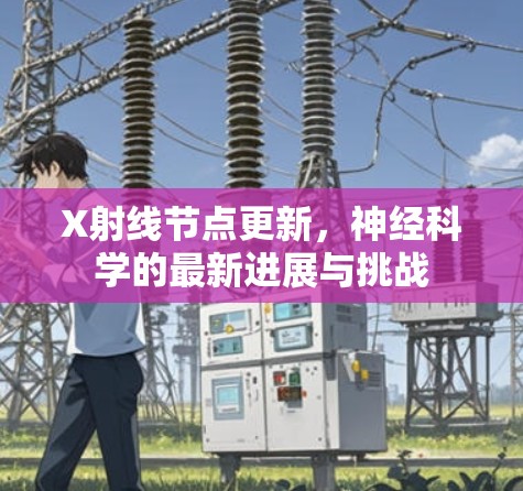 X射线节点更新,神经科学的最新进展与挑战 X射线节点更新,神经科学的最新进展与挑战