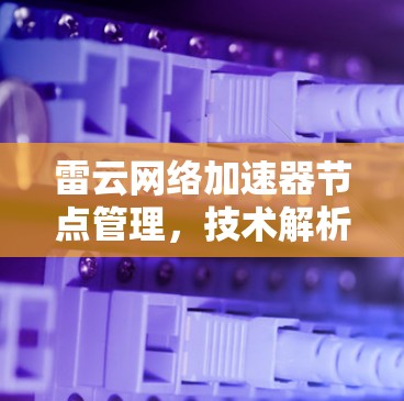雷云网络加速器节点管理,技术解析与优化建议 雷云网络加速器节点管理,技术解析与优化建议